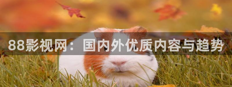 好看影院在線觀看電影：88影視網(wǎng)：國內(nèi)外優(yōu)質(zhì)內(nèi)容與趨勢