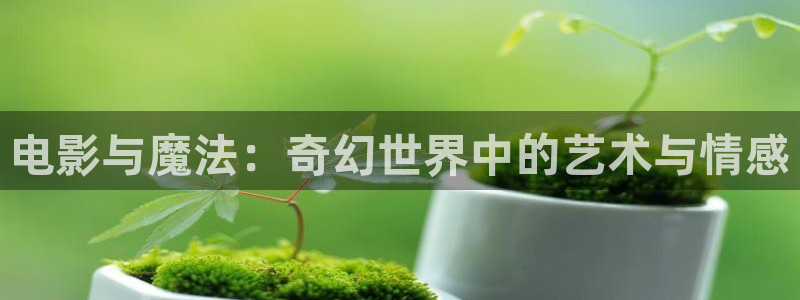 好好看影院：電影與魔法：奇幻世界中的藝術與情感